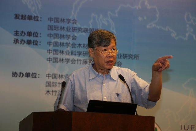中国林学会木材工业分会理事长叶克林做大会特邀报告