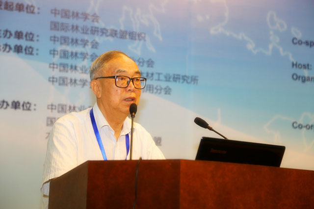 中国工程院院士张齐生教授为大会做特邀报告