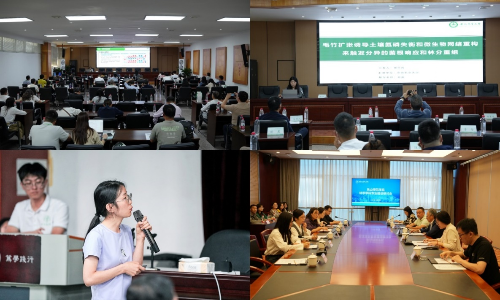 图片9-.png 图片9-.png