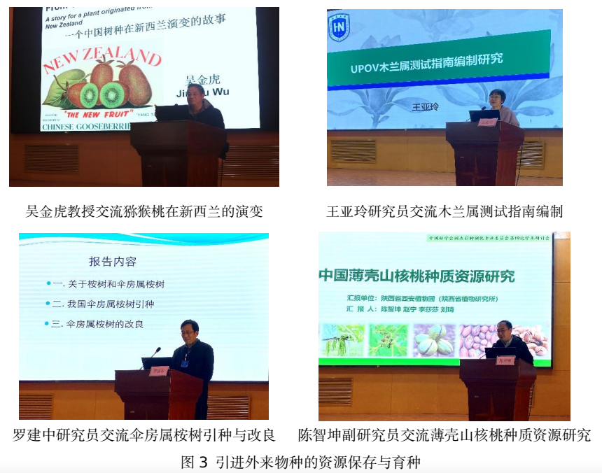 1775789035712.png 1775789035712.png