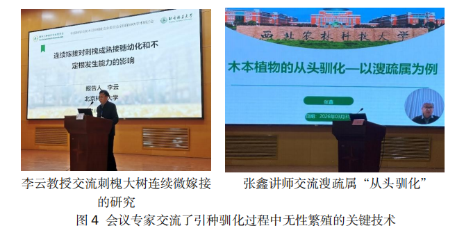 1775788906167.png 1775788906167.png