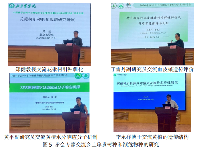 1775788927052.png 1775788927052.png