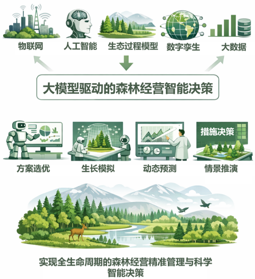 图片2-.png 图片2-.png