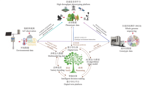 图片5-.png 图片5-.png