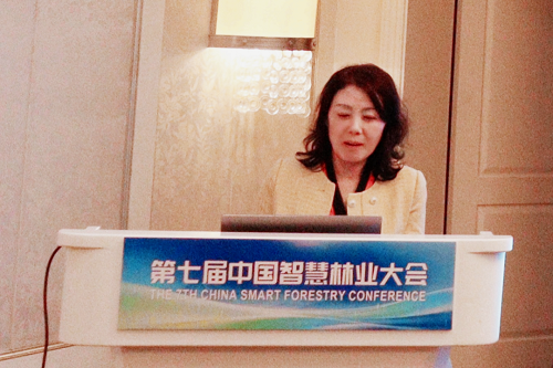 杨会君教授作特邀报告.png 杨会君教授作特邀报告.png
