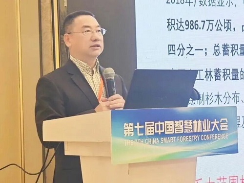 陆灯盛教授作特邀报告.jpg 陆灯盛教授作特邀报告.jpg