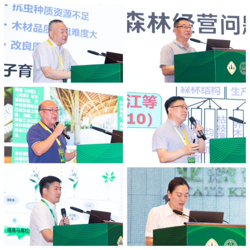 图片7-.png