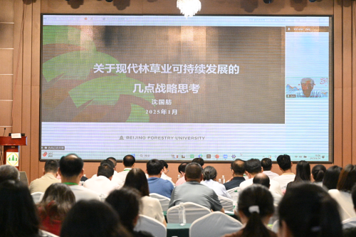 图片3-.png