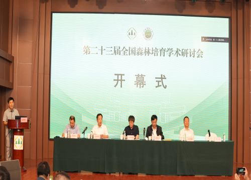 图片2-.png