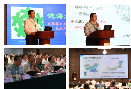 图片9-.png