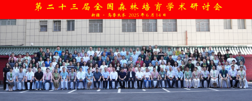 图片12-.png