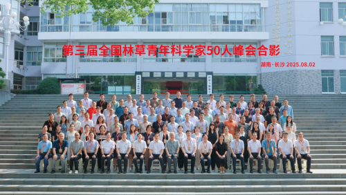 图片8-.png