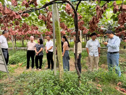 图片4-.jpg