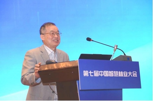 12.加拿大皇家科学院院士陈镜明作主旨报告.jpg
