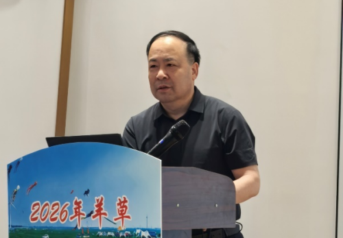 图片2-.png