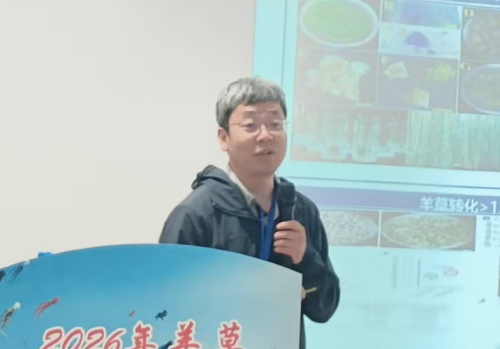 图片4-.png