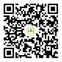 1785124125428.jpg